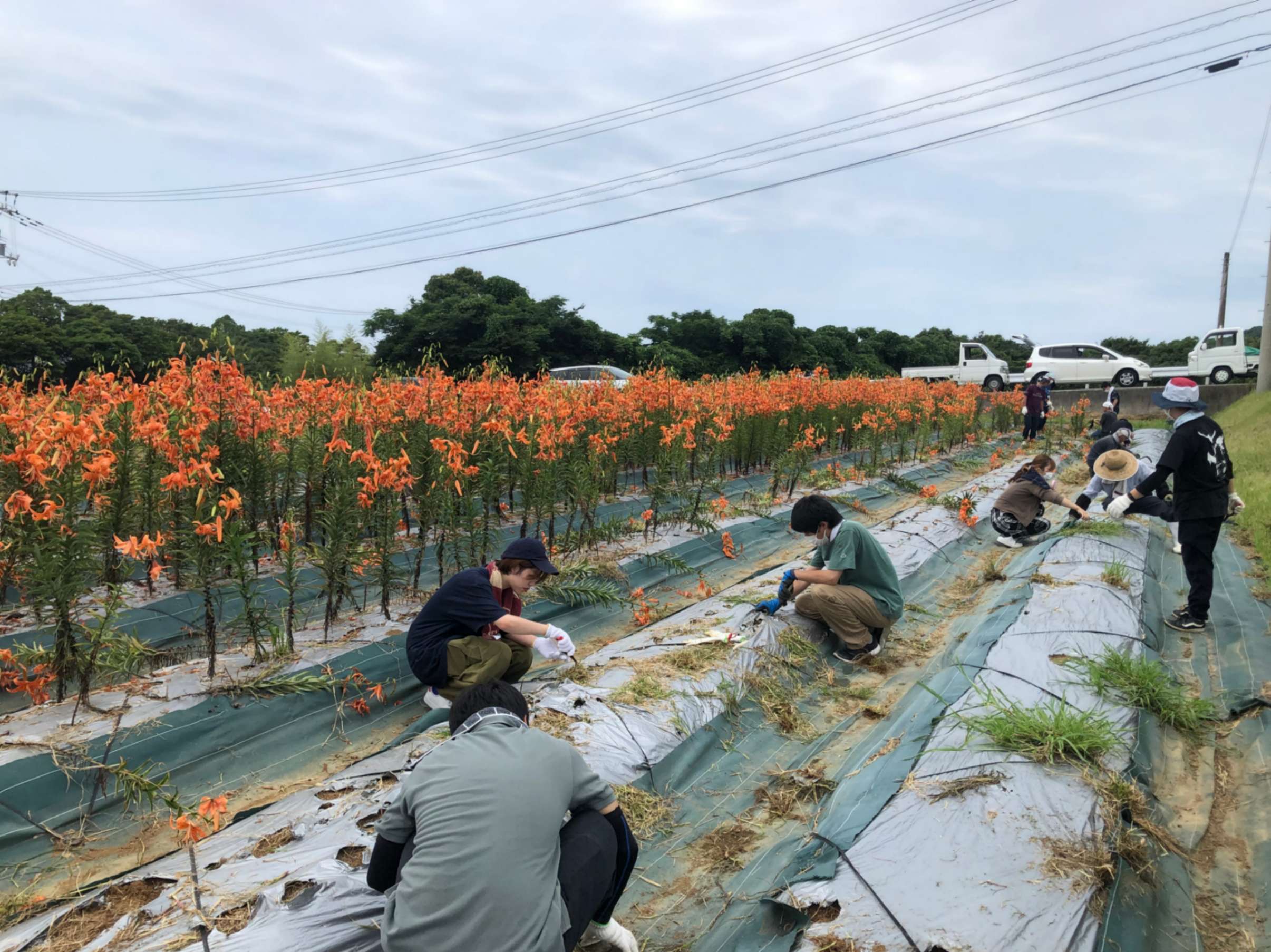 安田の食応援隊